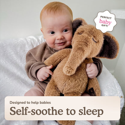 Sleepy Elephant Bundle