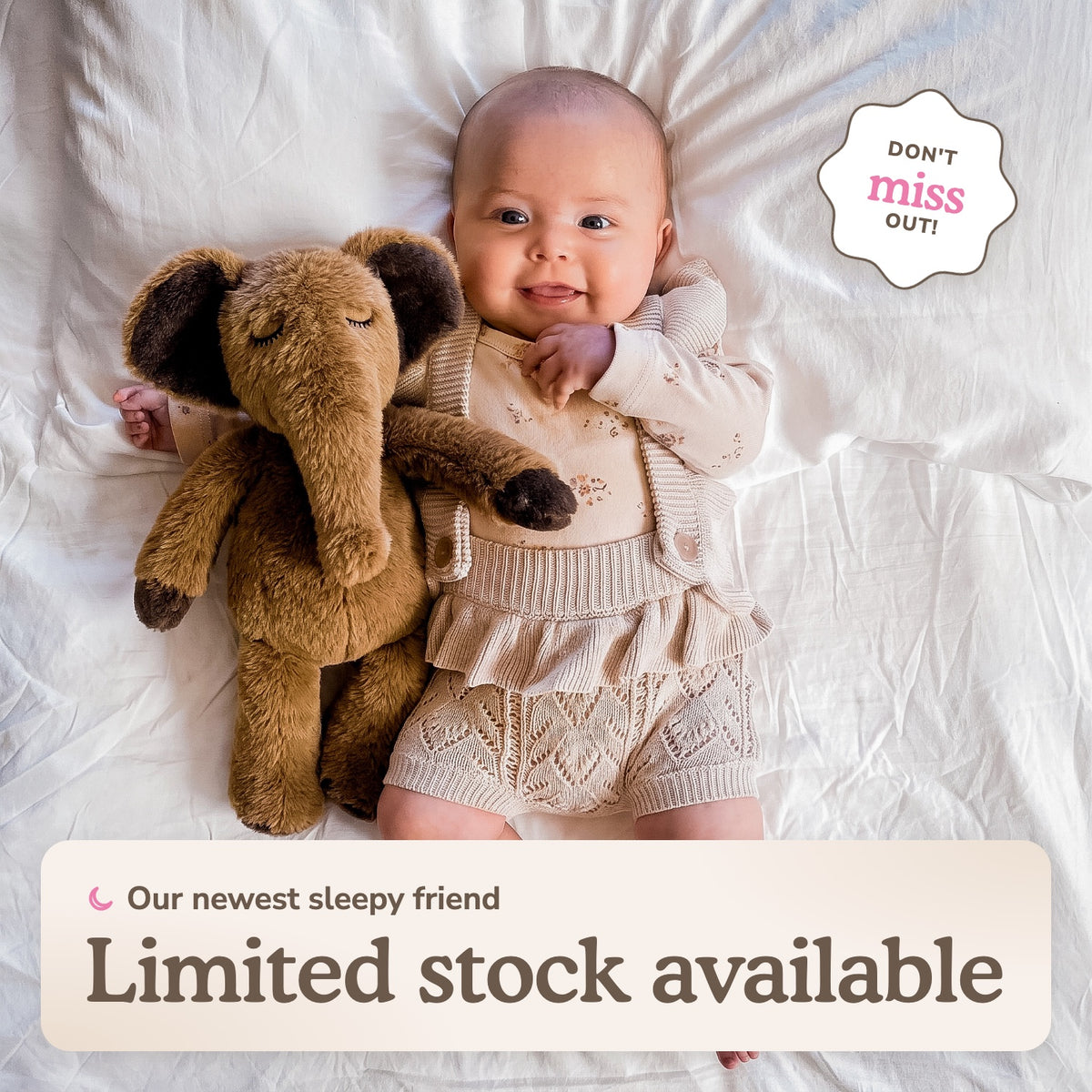 Sleepy Elephant Bundle