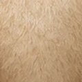 Lulla Pup - Golden Slumber